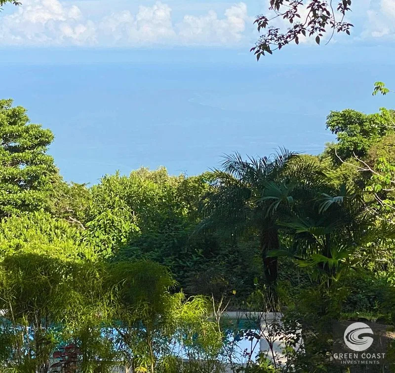 Estate Property in Escaleras, Multi-Use, Residential/HOTEL/Commercial Dominical San Martin, Ocean View Estate, Dominicalito — view 89, Dominical, Costa Rica