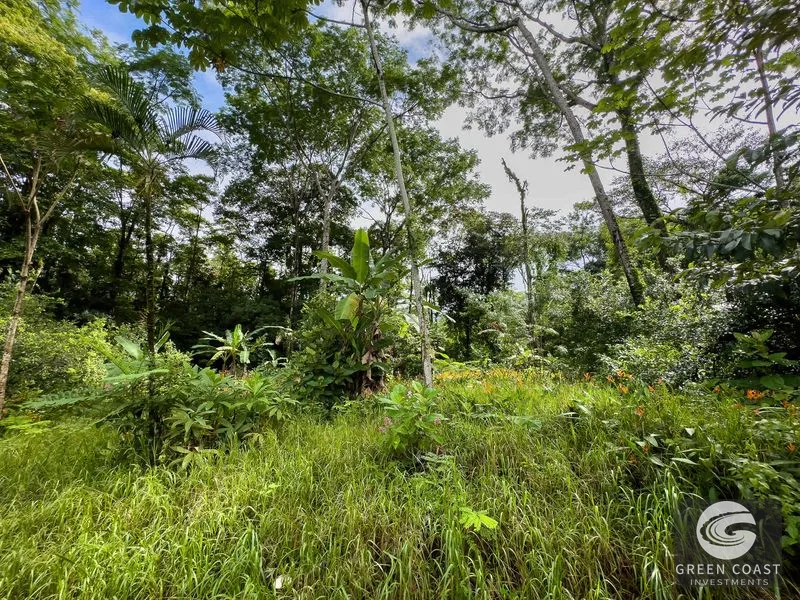 Prime 6.6-Acre Investment Property in Uvita – Ideal for New Projects and Opportunities — view 20, Bahia Ballena, Osa, Costa Rica