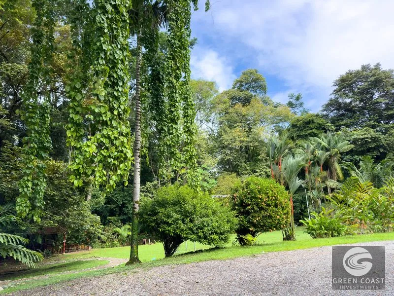 Prime 6.6-Acre Investment Property in Uvita – Ideal for New Projects and Opportunities — view 28, Bahia Ballena, Osa, Costa Rica