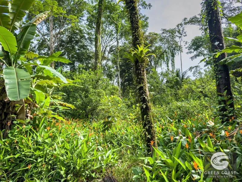 Prime 6.6-Acre Investment Property in Uvita – Ideal for New Projects and Opportunities — view 29, Bahia Ballena, Osa, Costa Rica
