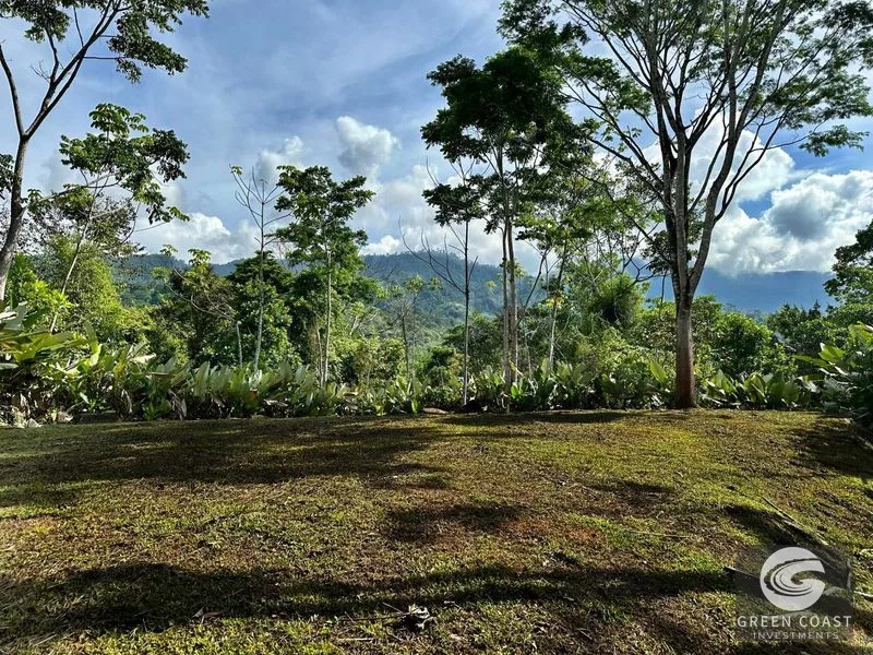 Jungle Retreat Center on the Uvita River. Private and 17 Acres — view 5, Uvita, Osa, Costa Rica