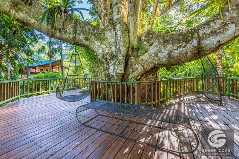 Jungle Retreat Center on the Uvita River. Private and 17 Acres — view 11, Uvita, Osa, Costa Rica