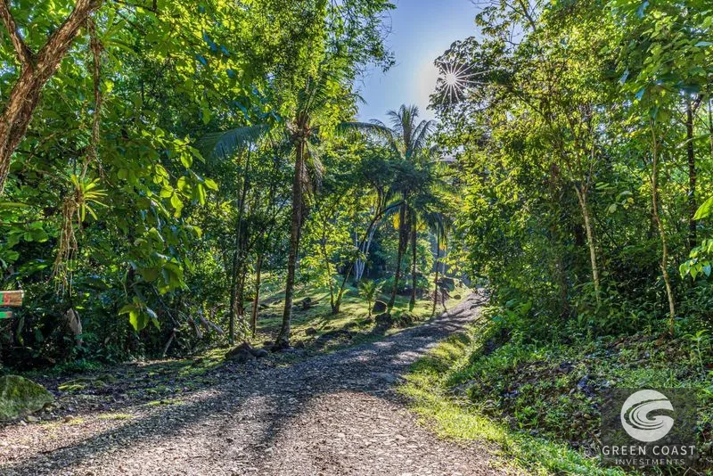 Jungle Retreat Center on the Uvita River. Private and 17 Acres — view 68, Uvita, Osa, Costa Rica