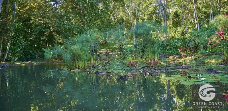 Jungle Retreat Center on the Uvita River. Private and 17 Acres — view 70, Uvita, Osa, Costa Rica