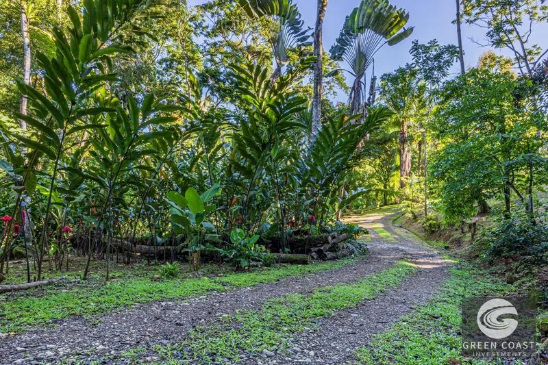 Jungle Retreat Center on the Uvita River. Private and 17 Acres — view 71, Uvita, Osa, Costa Rica