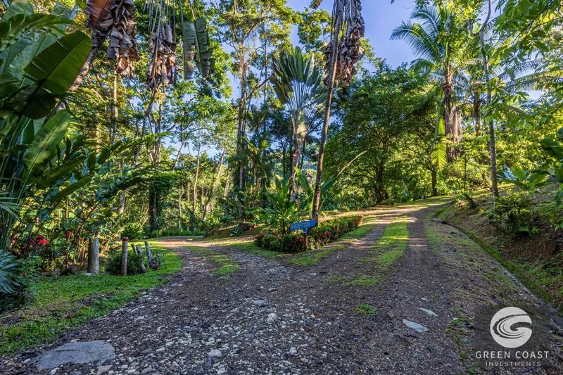 Jungle Retreat Center on the Uvita River. Private and 17 Acres — view 75, Uvita, Osa, Costa Rica