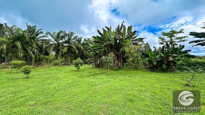 1.4-Acre Flat Tropical Estate Lot Near Marina Pez Vela — view 4, Parrita, Parrita, Costa Rica