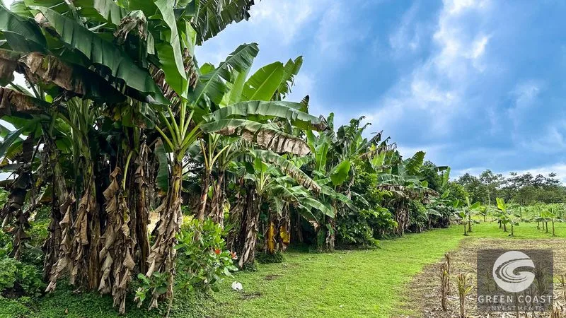 1.4-Acre Flat Tropical Estate Lot Near Marina Pez Vela — view 5, Parrita, Parrita, Costa Rica