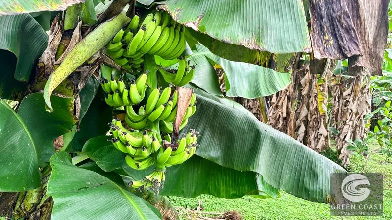 1.4-Acre Flat Tropical Estate Lot Near Marina Pez Vela — view 9, Parrita, Parrita, Costa Rica