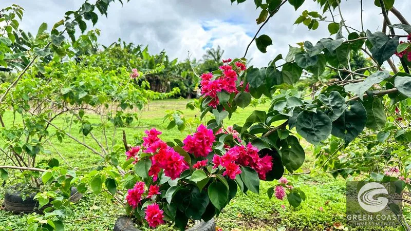 1.4-Acre Flat Tropical Estate Lot Near Marina Pez Vela — view 10, Parrita, Parrita, Costa Rica
