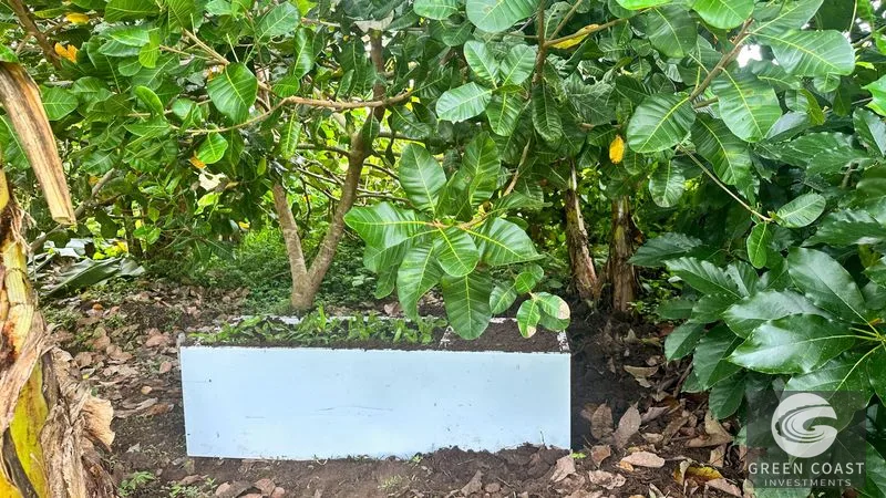 1.4-Acre Flat Tropical Estate Lot Near Marina Pez Vela — view 12, Parrita, Parrita, Costa Rica