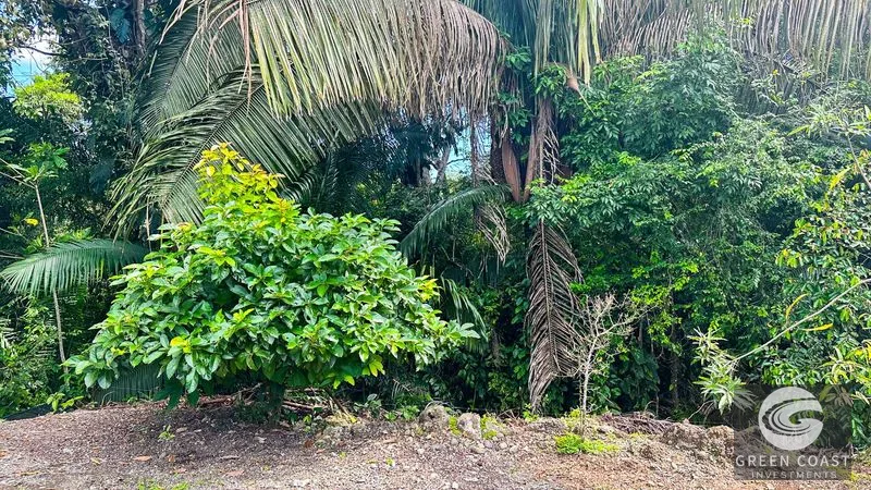 Prime Commercial Lot in Quepos: Ready-to-Build 1,782m² Near Costanera Sur — view 10, Quepos, Costa Rica
