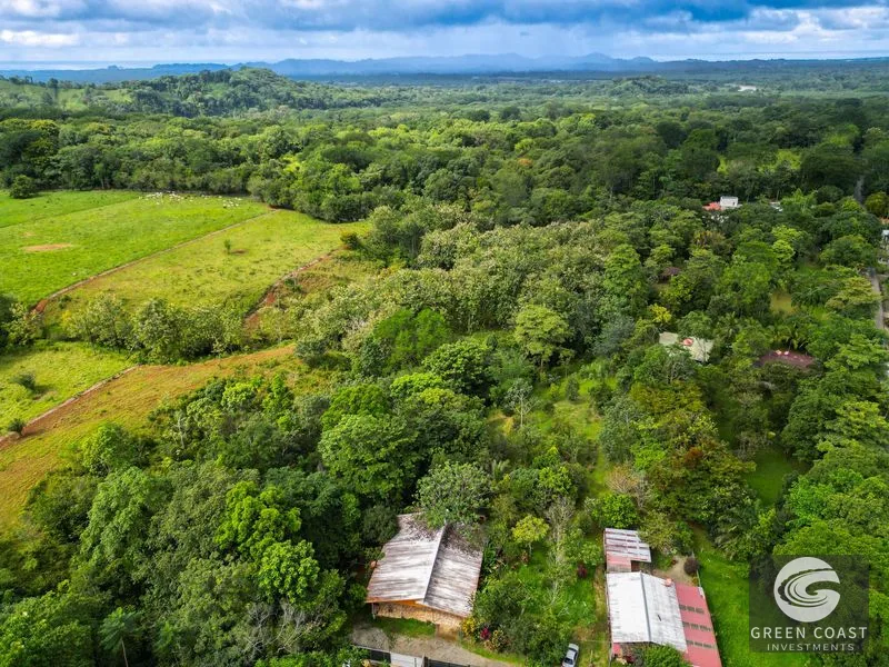4-Bed Riverfront Estate with Massive Fruit Orchard & Mountain Views near Quepos — view 1, Naranjito, Quepos, Costa Rica