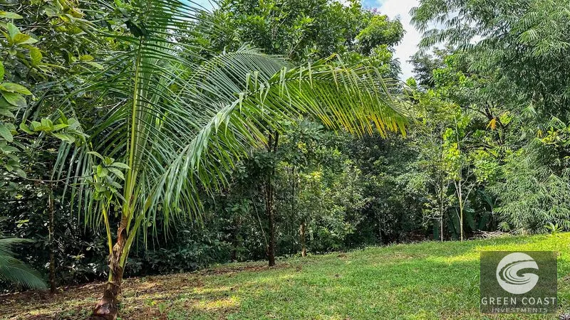 4-Bed Riverfront Estate with Massive Fruit Orchard & Mountain Views near Quepos — view 2, Naranjito, Quepos, Costa Rica
