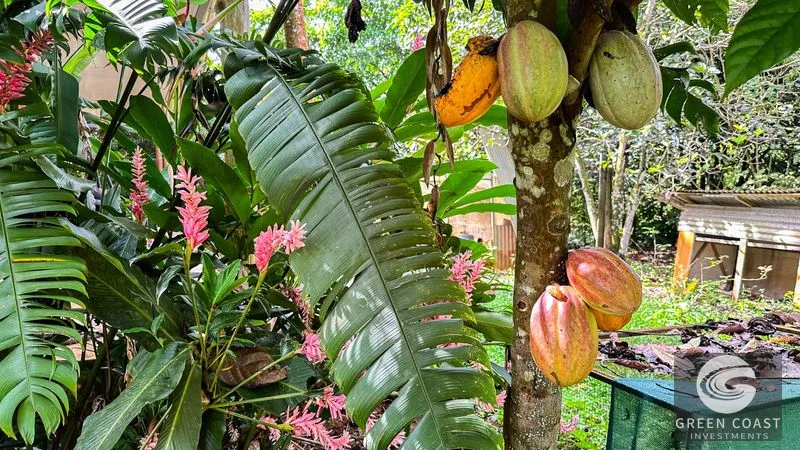 4-Bed Riverfront Estate with Massive Fruit Orchard & Mountain Views near Quepos — view 3, Naranjito, Quepos, Costa Rica