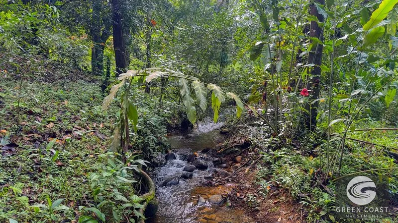 4-Bed Riverfront Estate with Massive Fruit Orchard & Mountain Views near Quepos — view 7, Naranjito, Quepos, Costa Rica