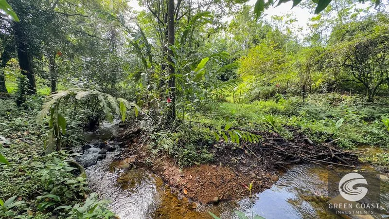4-Bed Riverfront Estate with Massive Fruit Orchard & Mountain Views near Quepos — view 9, Naranjito, Quepos, Costa Rica