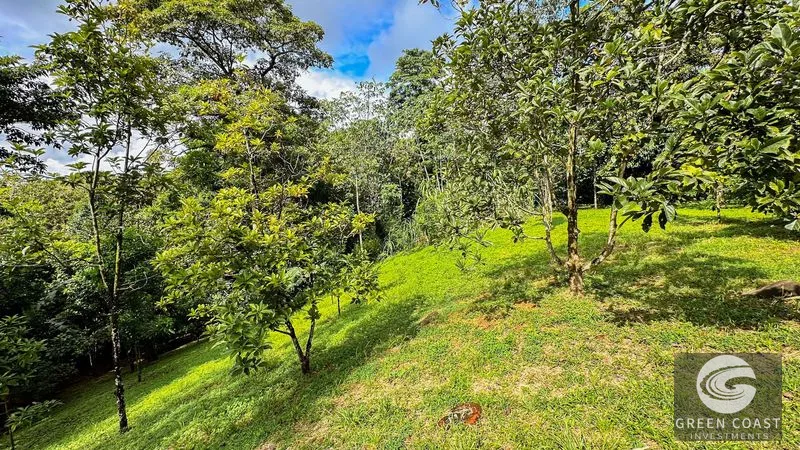 4-Bed Riverfront Estate with Massive Fruit Orchard & Mountain Views near Quepos — view 10, Naranjito, Quepos, Costa Rica