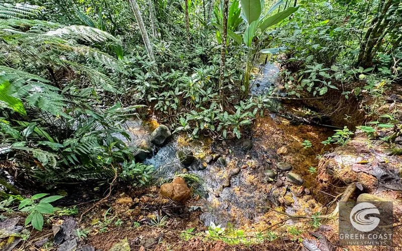 4-Bed Riverfront Estate with Massive Fruit Orchard & Mountain Views near Quepos — view 12, Naranjito, Quepos, Costa Rica