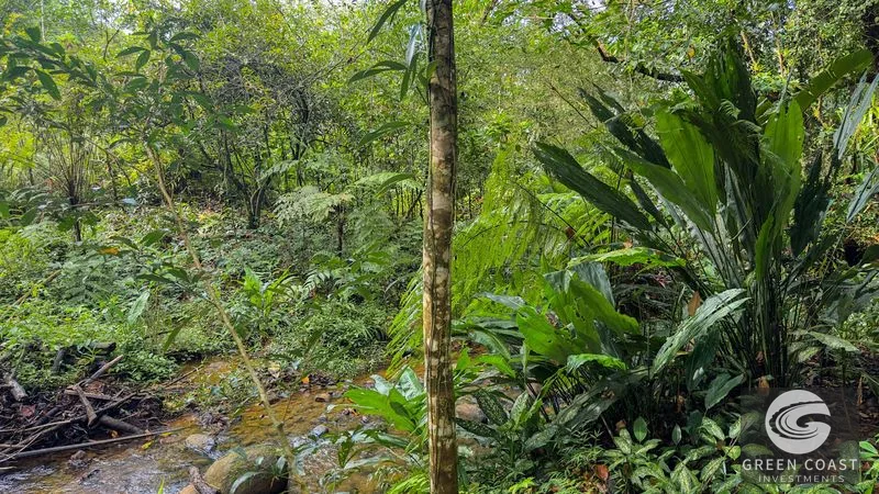 4-Bed Riverfront Estate with Massive Fruit Orchard & Mountain Views near Quepos — view 13, Naranjito, Quepos, Costa Rica