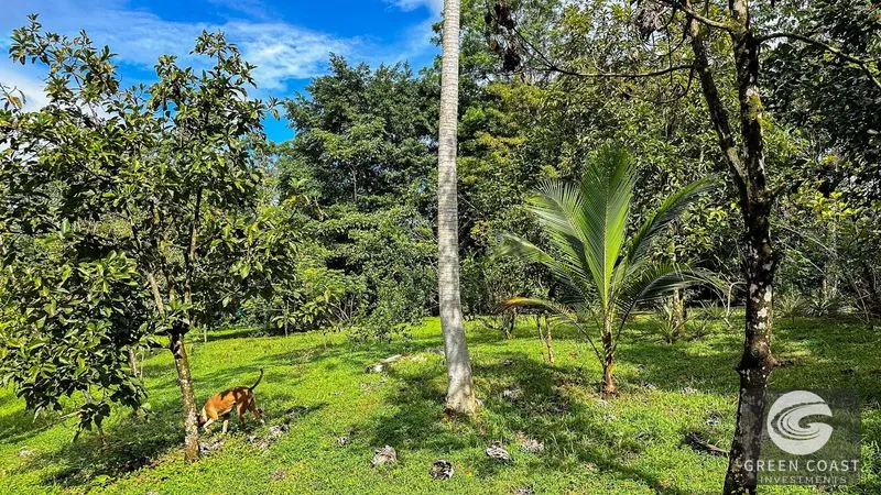 4-Bed Riverfront Estate with Massive Fruit Orchard & Mountain Views near Quepos — view 14, Naranjito, Quepos, Costa Rica