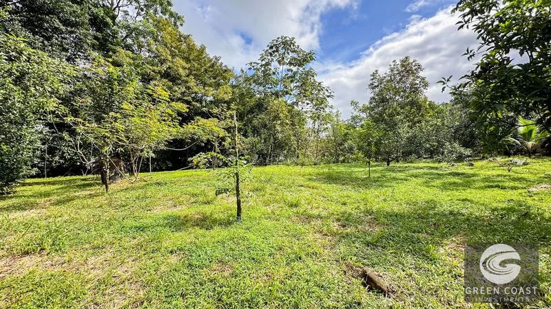4-Bed Riverfront Estate with Massive Fruit Orchard & Mountain Views near Quepos — view 15, Naranjito, Quepos, Costa Rica