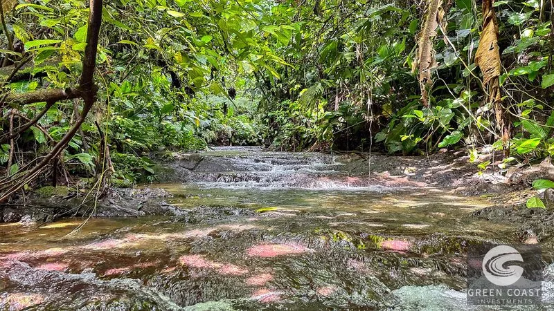 30-Hectare Ocean View Finca with Private Waterfalls & River near Manuel Antonio — view 5, Naranjito, Aguirre, Costa Rica