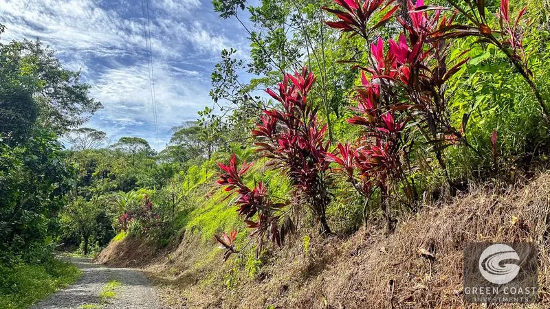 30-Hectare Ocean View Finca with Private Waterfalls & River near Manuel Antonio — view 8, Naranjito, Aguirre, Costa Rica