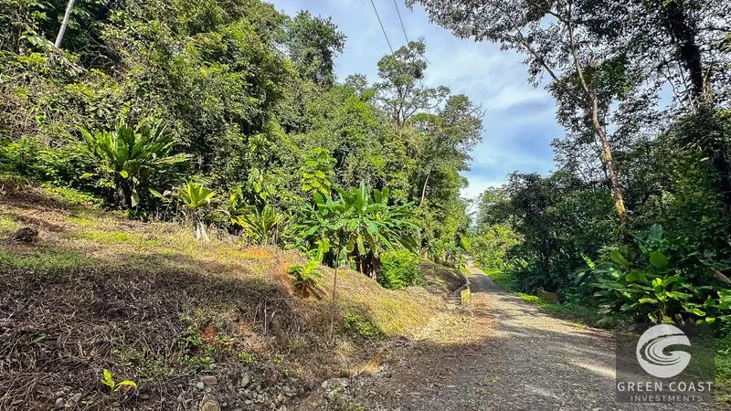 30-Hectare Ocean View Finca with Private Waterfalls & River near Manuel Antonio — view 10, Naranjito, Aguirre, Costa Rica
