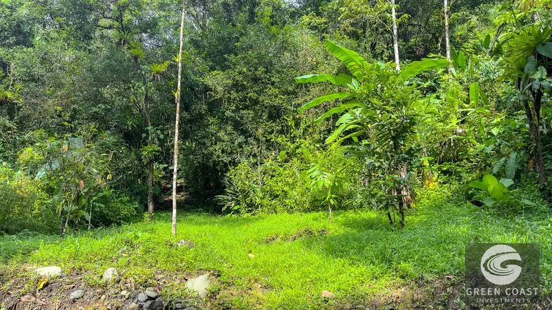 30-Hectare Ocean View Finca with Private Waterfalls & River near Manuel Antonio — view 11, Naranjito, Aguirre, Costa Rica