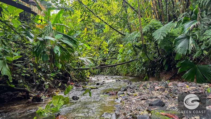 30-Hectare Ocean View Finca with Private Waterfalls & River near Manuel Antonio — view 12, Naranjito, Aguirre, Costa Rica