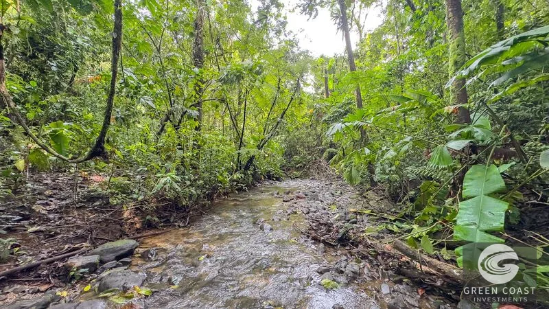 30-Hectare Ocean View Finca with Private Waterfalls & River near Manuel Antonio — view 14, Naranjito, Aguirre, Costa Rica