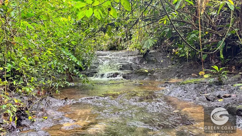 30-Hectare Ocean View Finca with Private Waterfalls & River near Manuel Antonio — view 15, Naranjito, Aguirre, Costa Rica