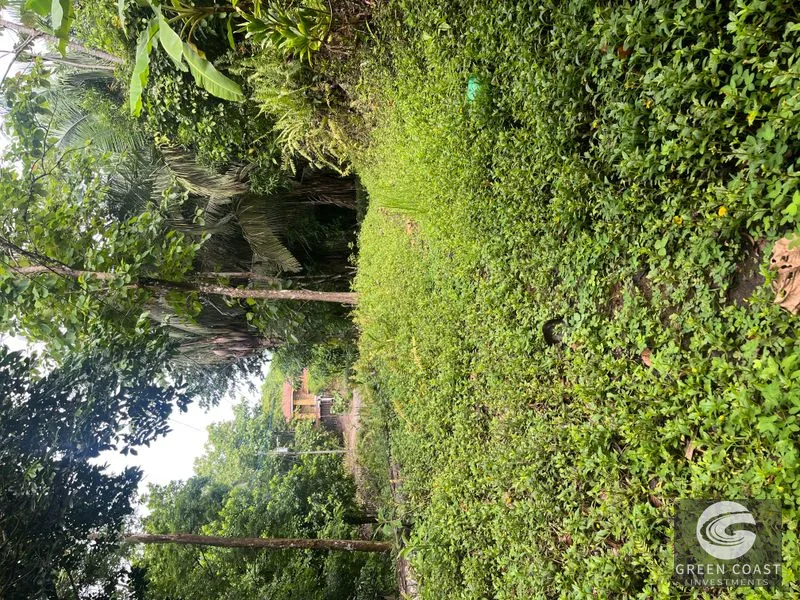 1.8-Acre Luxury Jungle Lot in Exclusive Quepos Gated Community – Perfect for Dream Home or Rental Estate — view 1, Manuel Antonio, Quepos, Costa Rica