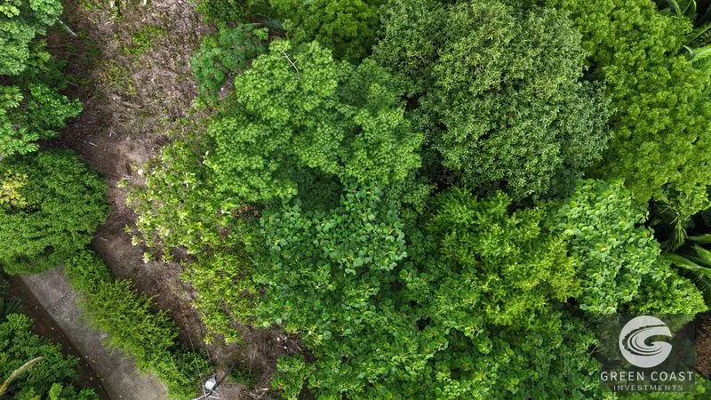 1.8-Acre Luxury Jungle Lot in Exclusive Quepos Gated Community – Perfect for Dream Home or Rental Estate — view 2, Manuel Antonio, Quepos, Costa Rica