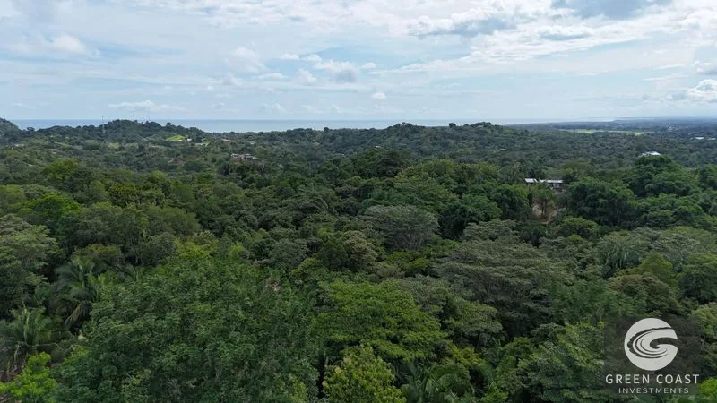 1.8-Acre Luxury Jungle Lot in Exclusive Quepos Gated Community – Perfect for Dream Home or Rental Estate — view 5, Manuel Antonio, Quepos, Costa Rica