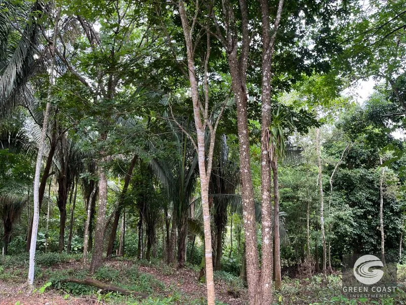 1.8-Acre Luxury Jungle Lot in Exclusive Quepos Gated Community – Perfect for Dream Home or Rental Estate — view 6, Manuel Antonio, Quepos, Costa Rica