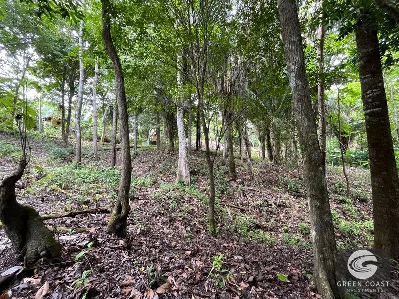 1.8-Acre Luxury Jungle Lot in Exclusive Quepos Gated Community – Perfect for Dream Home or Rental Estate — view 7, Manuel Antonio, Quepos, Costa Rica