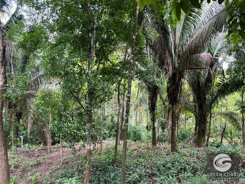 1.8-Acre Luxury Jungle Lot in Exclusive Quepos Gated Community – Perfect for Dream Home or Rental Estate — view 8, Manuel Antonio, Quepos, Costa Rica