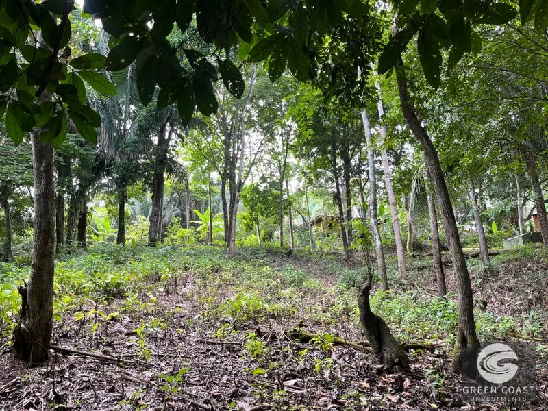 1.8-Acre Luxury Jungle Lot in Exclusive Quepos Gated Community – Perfect for Dream Home or Rental Estate — view 9, Manuel Antonio, Quepos, Costa Rica