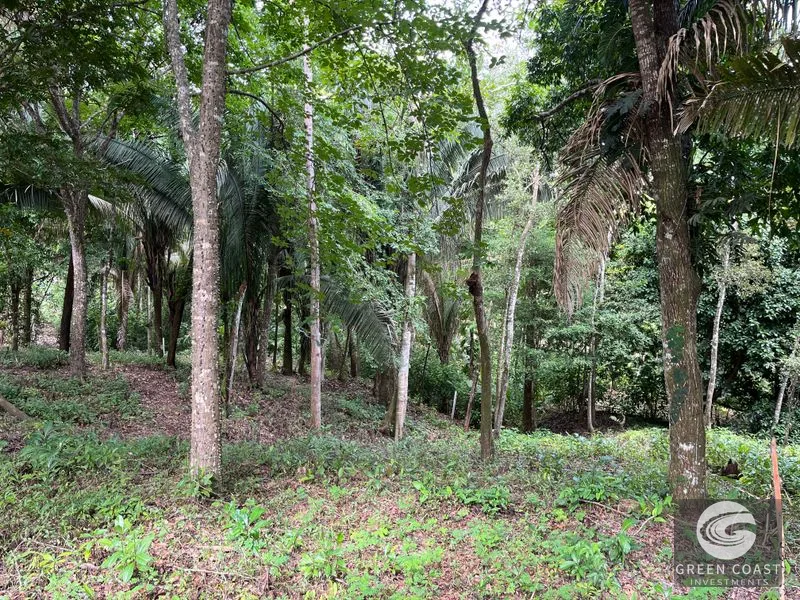 1.8-Acre Luxury Jungle Lot in Exclusive Quepos Gated Community – Perfect for Dream Home or Rental Estate — view 10, Manuel Antonio, Quepos, Costa Rica
