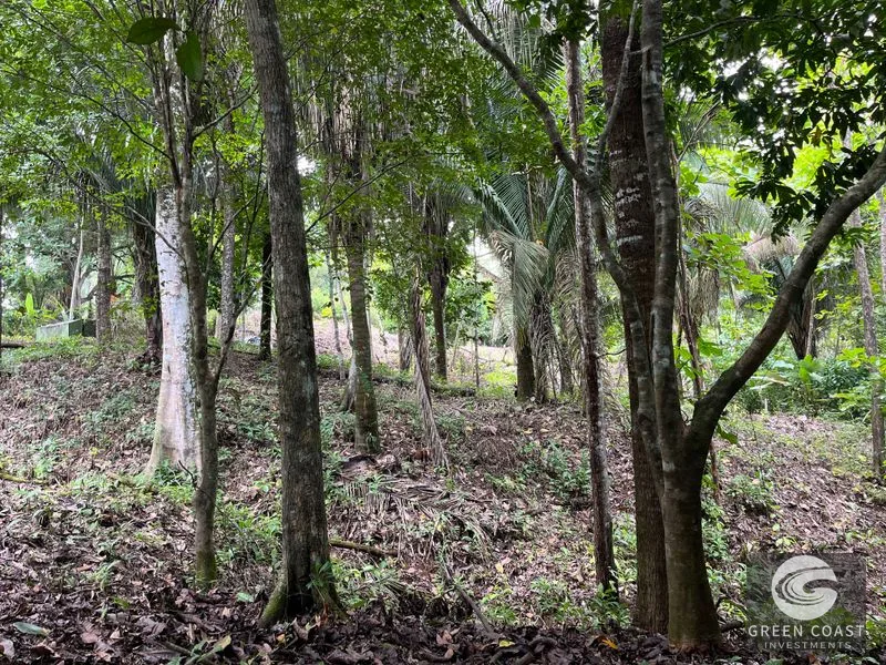 1.8-Acre Luxury Jungle Lot in Exclusive Quepos Gated Community – Perfect for Dream Home or Rental Estate — view 11, Manuel Antonio, Quepos, Costa Rica