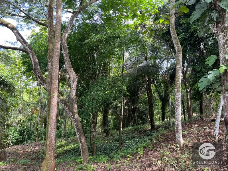 1.8-Acre Luxury Jungle Lot in Exclusive Quepos Gated Community – Perfect for Dream Home or Rental Estate — view 12, Manuel Antonio, Quepos, Costa Rica