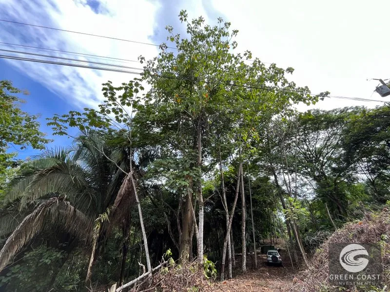 1.8-Acre Luxury Jungle Lot in Exclusive Quepos Gated Community – Perfect for Dream Home or Rental Estate — view 13, Manuel Antonio, Quepos, Costa Rica