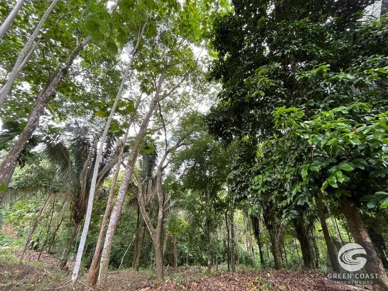 1.8-Acre Luxury Jungle Lot in Exclusive Quepos Gated Community – Perfect for Dream Home or Rental Estate — view 14, Manuel Antonio, Quepos, Costa Rica