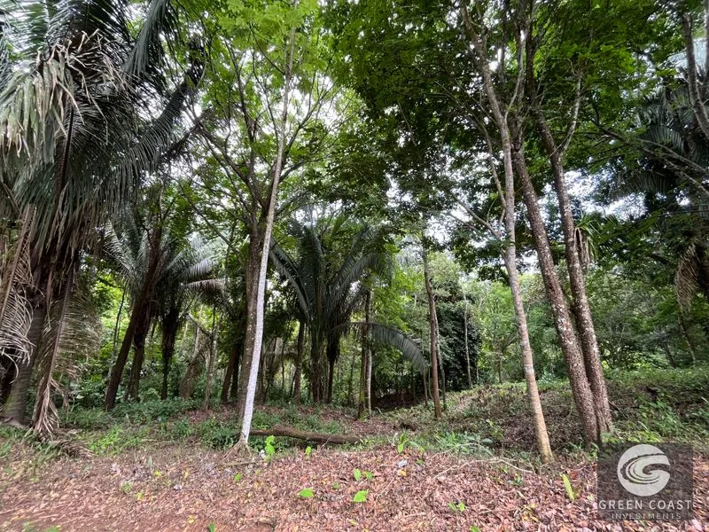 1.8-Acre Luxury Jungle Lot in Exclusive Quepos Gated Community – Perfect for Dream Home or Rental Estate — view 15, Manuel Antonio, Quepos, Costa Rica