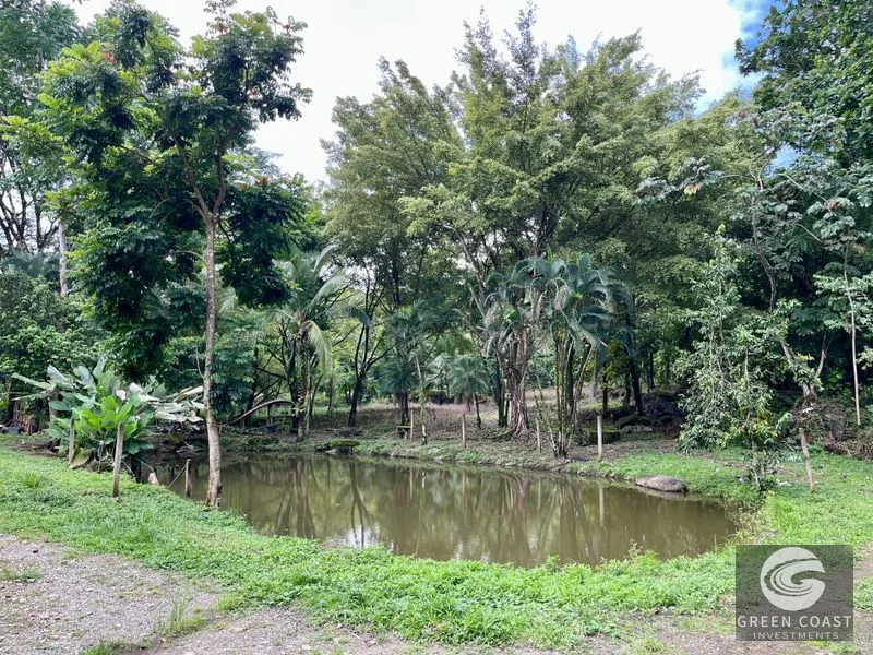 4.3-Acre Riverfront Oasis with Pond and Versatile Commercial/Residential Structure in Quepos — view 3, Londres, Quepos, Costa Rica