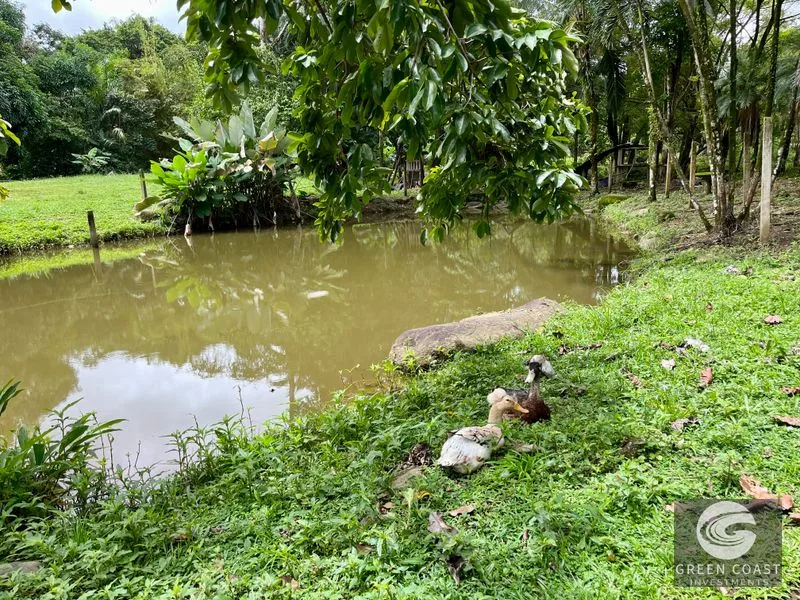 4.3-Acre Riverfront Oasis with Pond and Versatile Commercial/Residential Structure in Quepos — view 7, Londres, Quepos, Costa Rica
