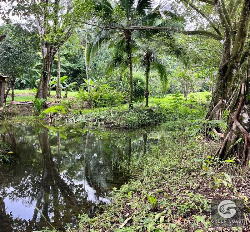 4.3-Acre Riverfront Oasis with Pond and Versatile Commercial/Residential Structure in Quepos — view 9, Londres, Quepos, Costa Rica