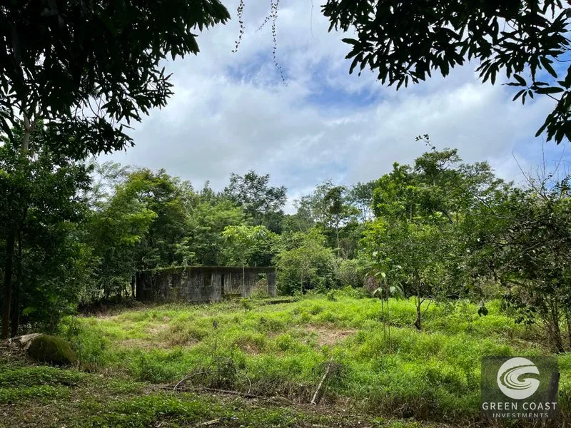 4.3-Acre Riverfront Oasis with Pond and Versatile Commercial/Residential Structure in Quepos — view 10, Londres, Quepos, Costa Rica
